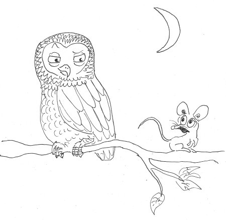 Otto owl fearsome facts page_crop_450