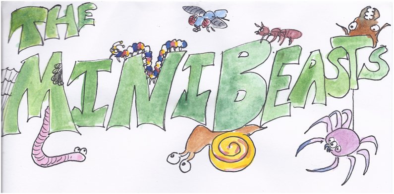 mini beasts title page colour_Nikki